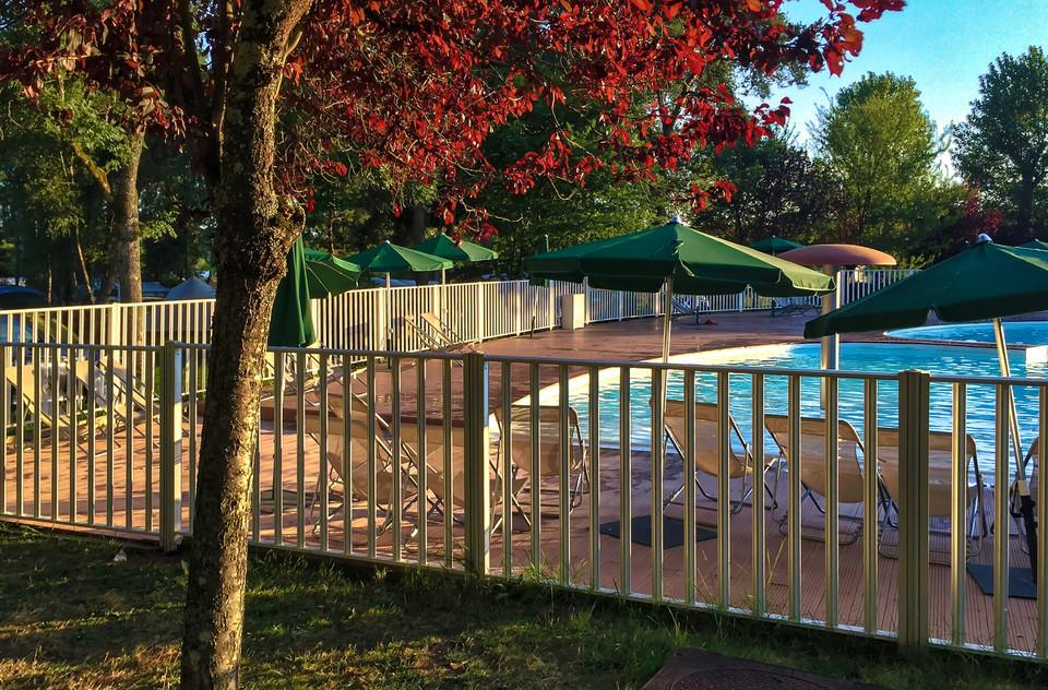 Choosing the Right Pool Fencing: A Guide to Materials and Styles